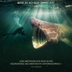 Kino: Die wilde Nordsee – Natur die sich nicht zähmen lässt