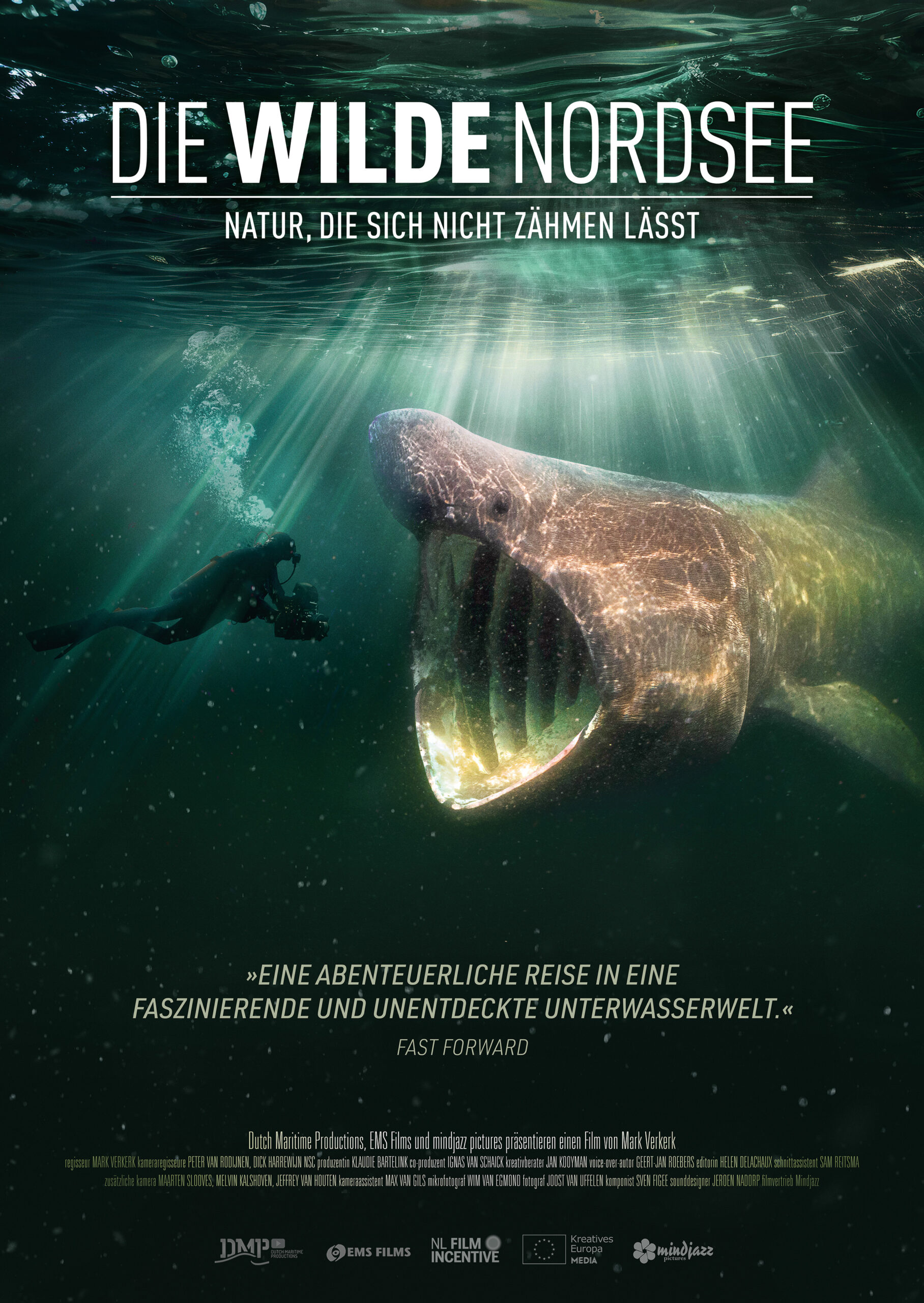 Kino: Die wilde Nordsee – Natur die sich nicht zähmen lässt